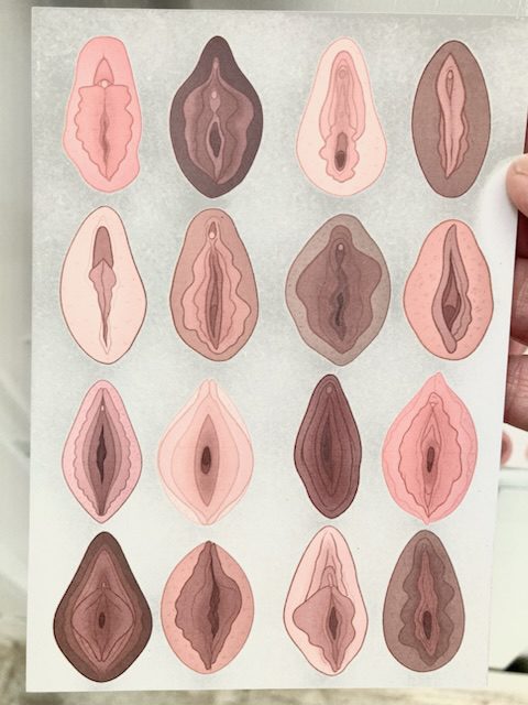 certified somatic sex educator