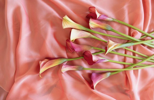 Benefits and Uses of Somatic Sex Therapy