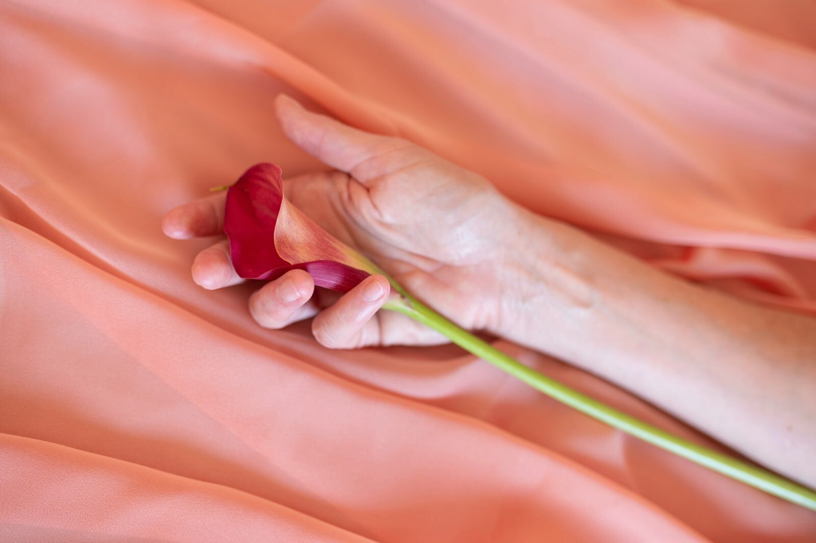 Somatic Sex Therapy and Sexological Bodywork